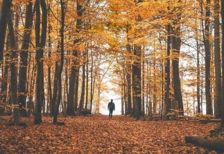 Discipline To Deliverance